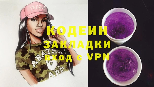стаф Каменск-Шахтинский