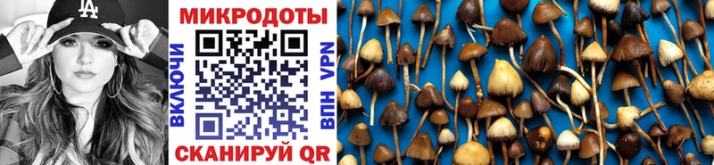 Псилоцибиновые грибы мицелий  Купить закладки  Высоцк 